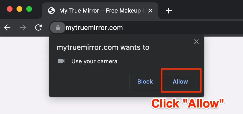 True Mirror Online - How to grant camera access