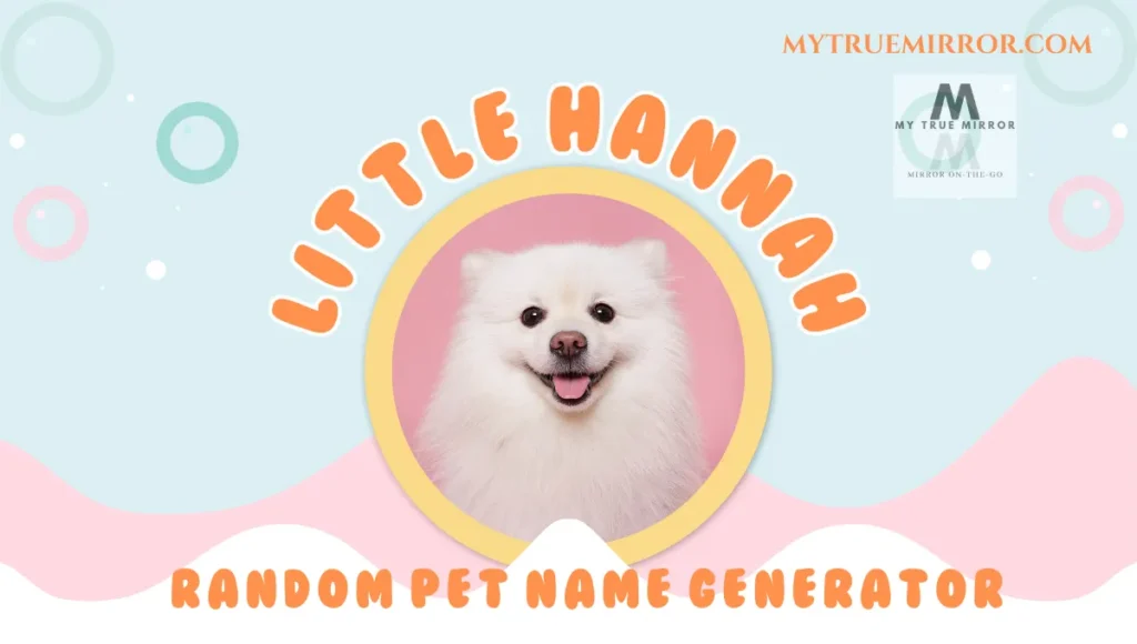 A cute puppy named "Little Hannah" is posing for the camera with her name written in a circular fashion depicting the use of Random Pet Name Generator